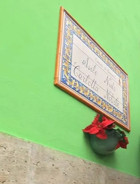 Infiltrazione al nido Carlotta Nobile, chiuso dal 5 al 7 novembre